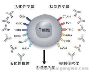 生物武器4.jpg