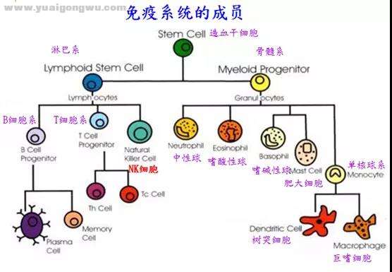 微信图片_20201026173615.jpg